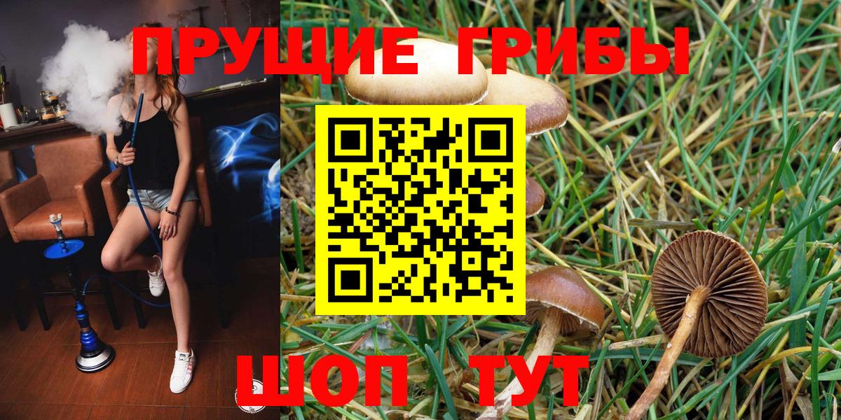 Псилоцибиновые грибы прущие грибы Нарткала