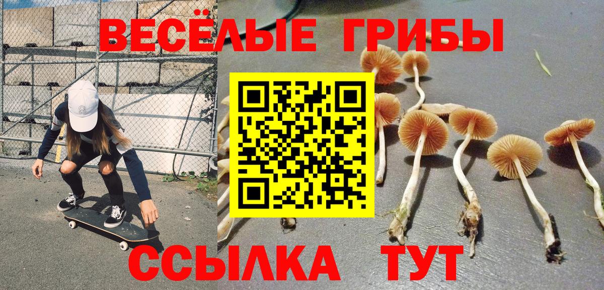 Псилоцибиновые грибы прущие грибы  Вход с VPN  Нарткала 